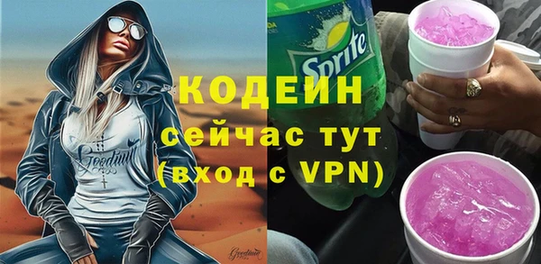 ГАЛЛЮЦИНОГЕННЫЕ ГРИБЫ Вяземский