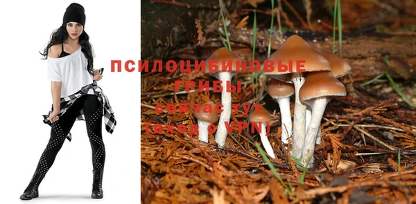 бутик Горно-Алтайск