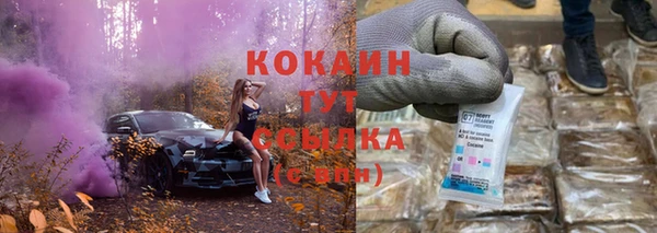 стаф Горнозаводск