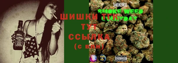 стаф Горнозаводск
