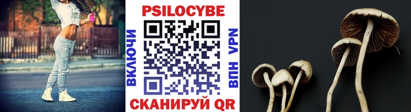 Галлюциногенные грибы прущие грибы  Павловский Посад 